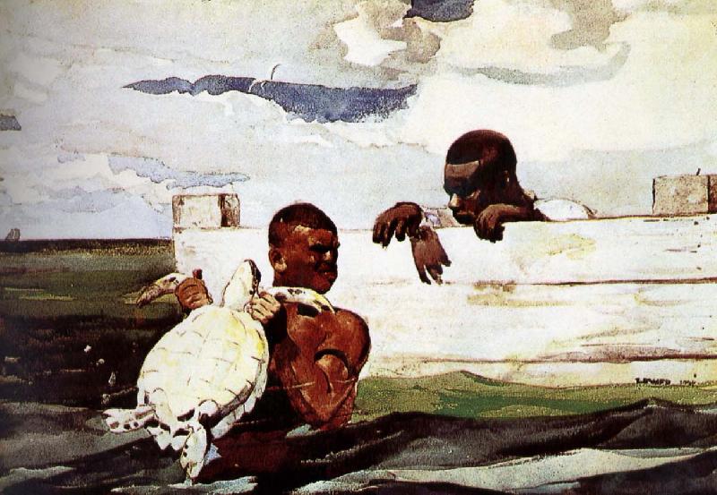 Winslow Homer Turtles captured in Sweden oil painting art